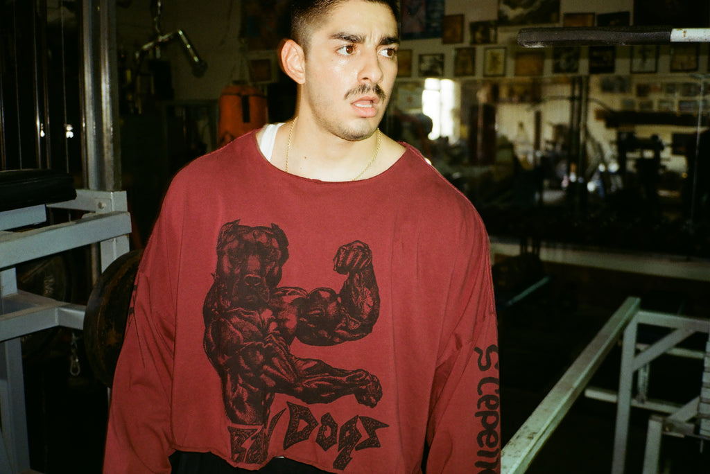 Shredded: "Bad Dogs" Cropped Box Cut Long Sleeve