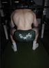 Lessons: 'Stay Pumped' Quad Short